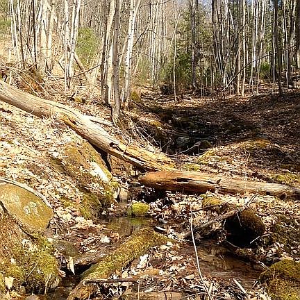 Babbling brook April 2016