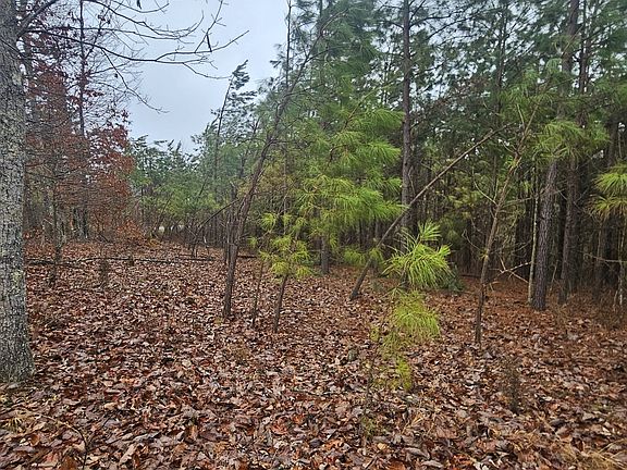 4th image of 7594 Rockhouse Rd