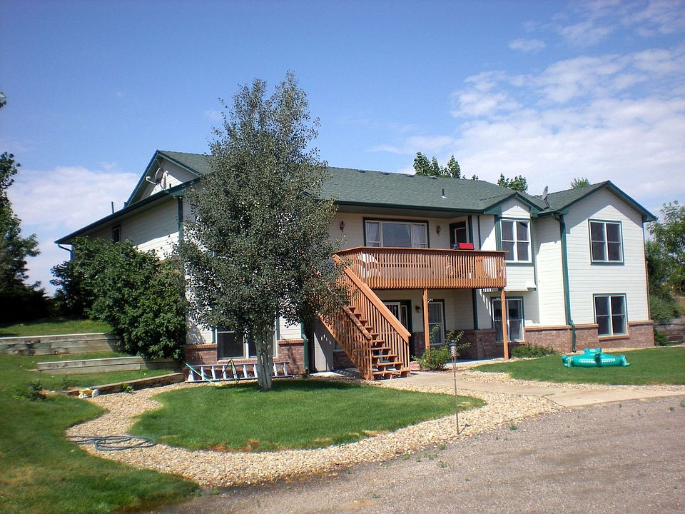 Back View