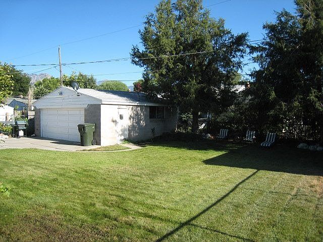 Big Back Yard