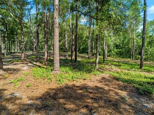 29901 State Road 44, Eustis, FL 32736