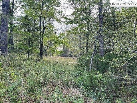 3rd image of tba N Nc Hwy 16