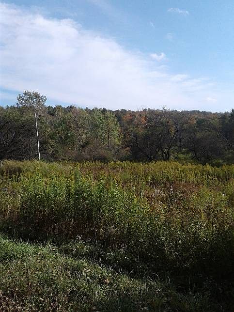 2nd image of 243 Scotch Hill Rd