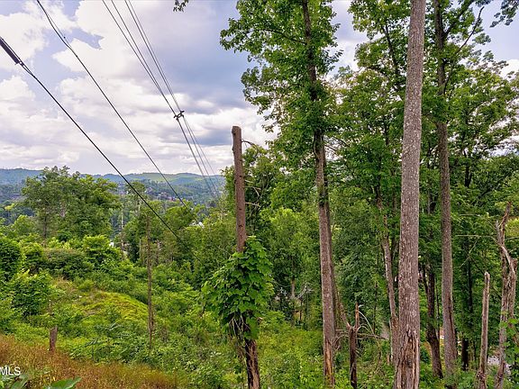 3rd image of 28 Silverbell Heights Ln Lot 28