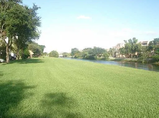 GreenArea