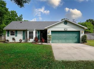 25051 Algonquin Ave, Mount Plymouth, FL 32776