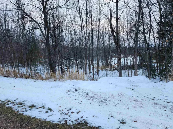 LOT 20 Depot St, Greenland, MI 49929