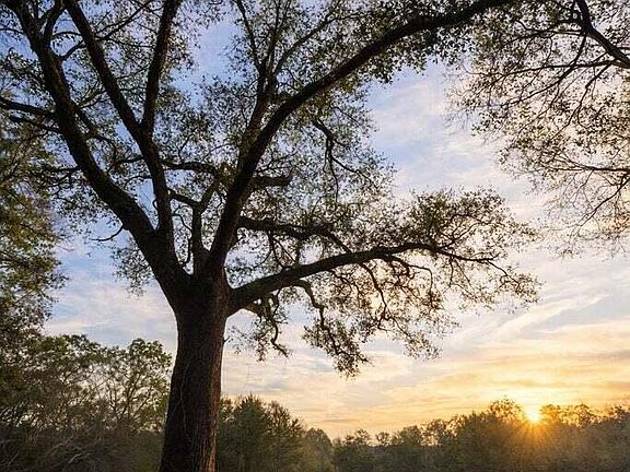 5th image of F Z Goss Rd