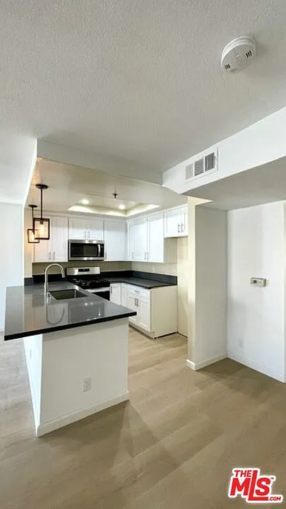 1 bed, 1.0 bath, 750 sqft, $1,975 — Photo 4
