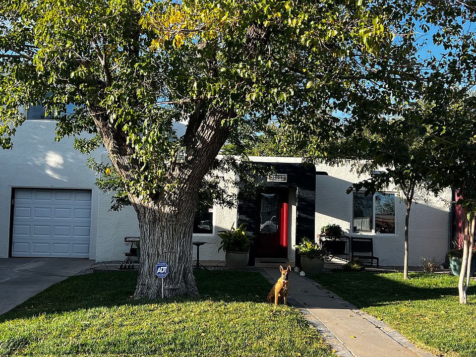 Dog not included in the rental ;-). (She is our rescue body guard and part of our family.)