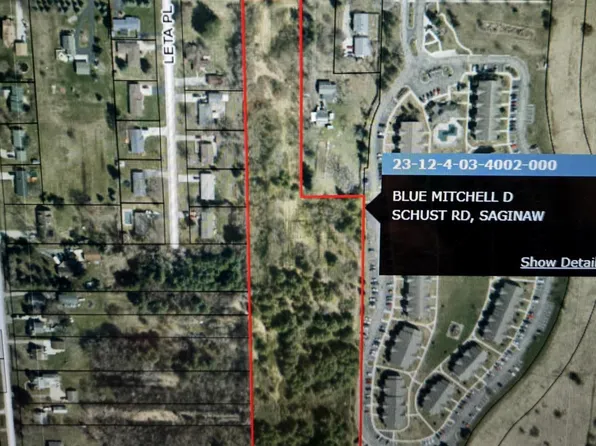 3295 Schust Rd, Saginaw, MI 48603