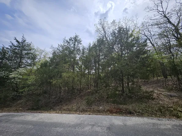 000 Guillian Drive, Branson, MO 65616
