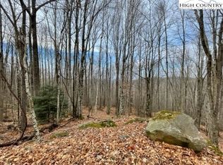 112 115/116 107/109 Arrowhead Hollow Tree Rd, Banner Elk, NC 28604