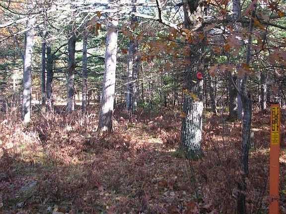 3rd image of Lullaby Ln Lot 25
