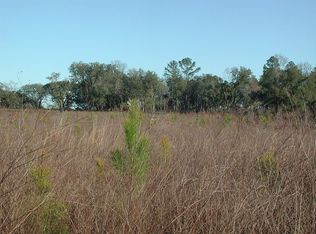 1085 Old Pelham Rd, Climax, GA 39834