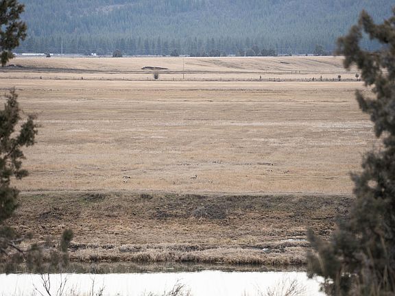 2nd image of 28319 Drews Rd