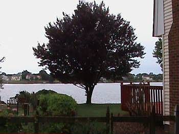 3rd image of 1229 Belvoir Ln
