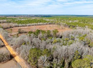 0 Butler Mill Rd, Reynolds, GA 31076