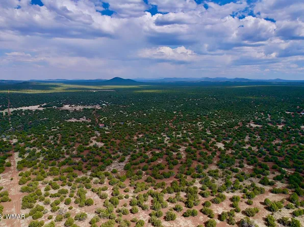 Hawk Rd, Show Low, AZ 85901