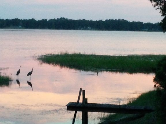 View from Dock
