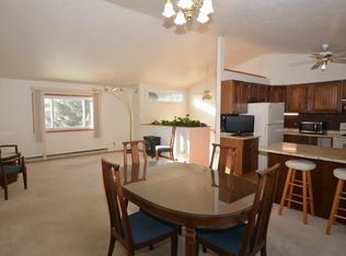 1174 Straight Creek Dr, Dillon, CO 80435