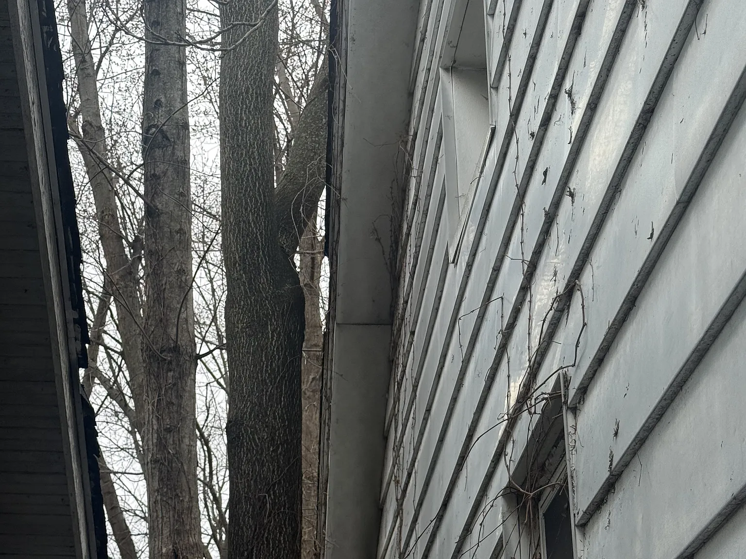 2 bed, 672 sqft, $775 — Photo 4