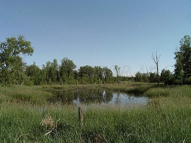 pristine pond