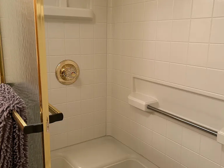 Private bath shower