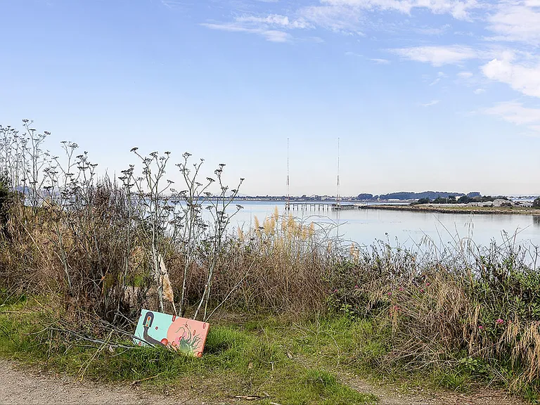 Albany Beach area, often catch kite surfers here