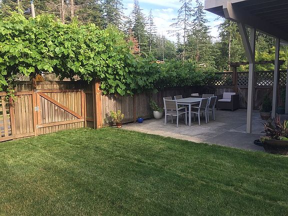 New grass in backyard