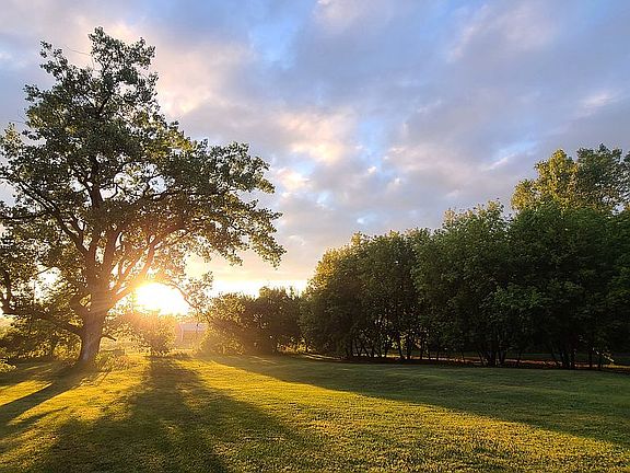 Pasture are now private disc