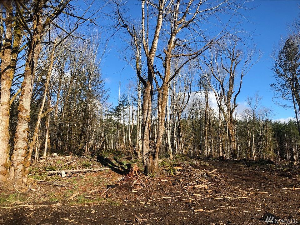 1st image of 11 Nickelbush Ln