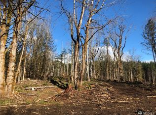 11 Nickelbush Ln, Quilcene, WA 98376