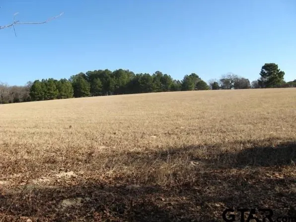0 An County Rd #486, Palestine, TX 75803