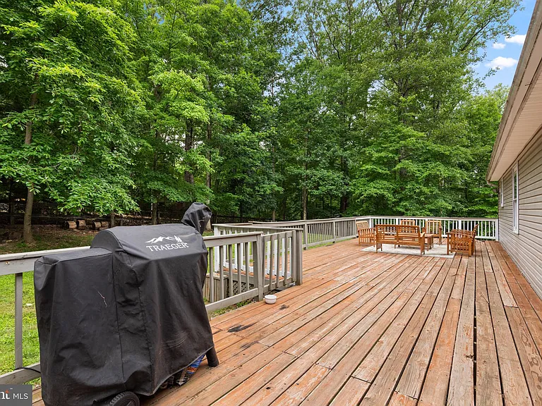 344 White Mule Ln — Photo 10