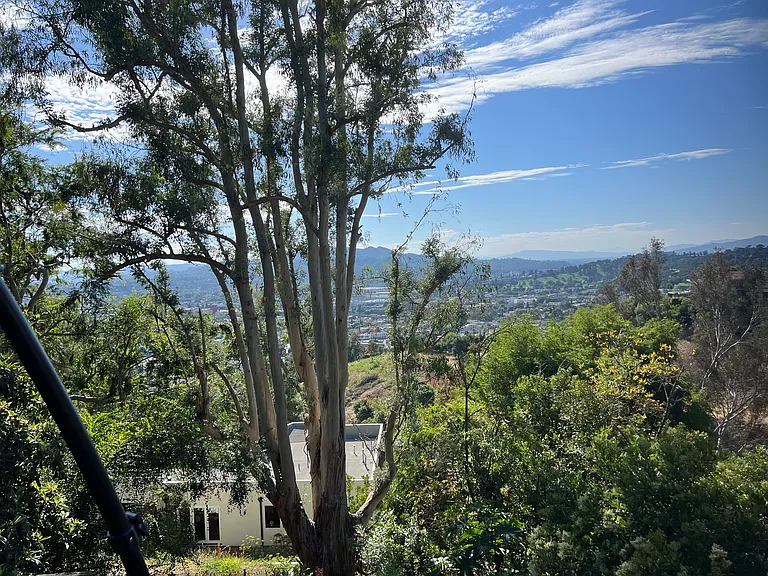 View from deck