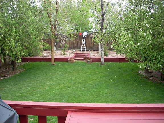 Backyard View