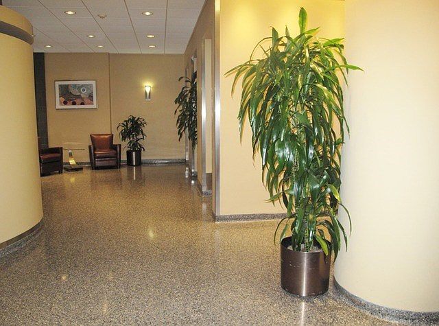 1st image of 405 N Wabash Ave Unit 3810