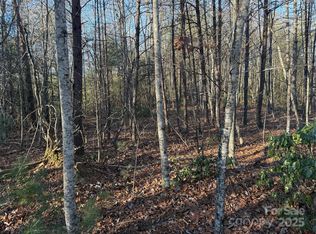 16 Waters Edge Dr, Nebo, NC 28761