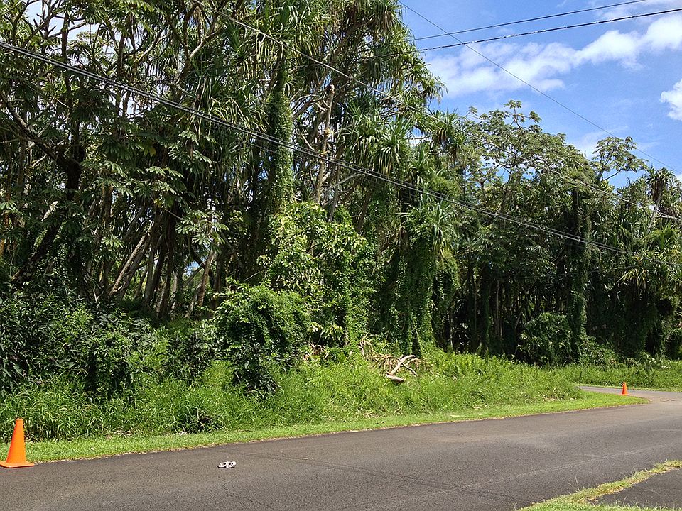 1st image of Lot 1681 Opakapaka St