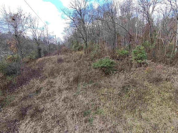 5th image of 202 Township Road 93 S
