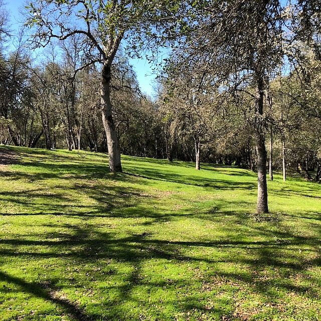 1st image of LOT 129 Lake Vista Dr