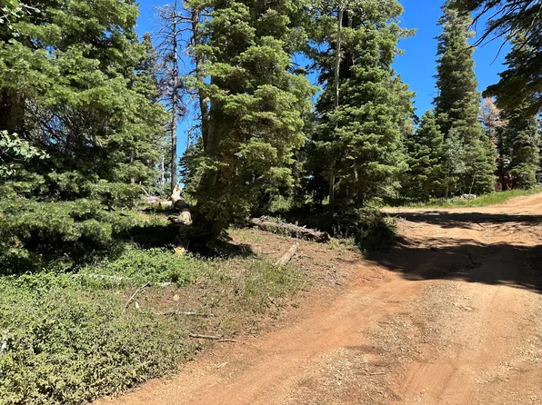 W Grizzly Ln, Alton, UT 84710