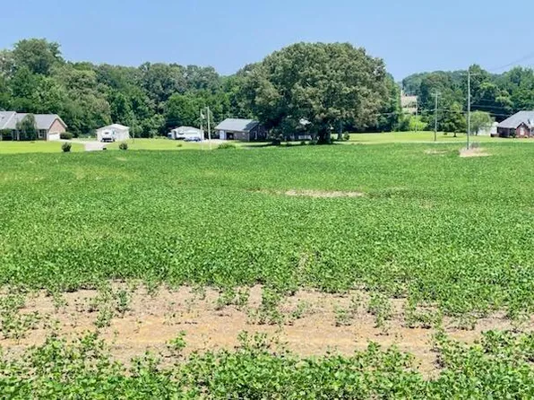 0 Roy Hargrove Rd, Medina, TN 38355