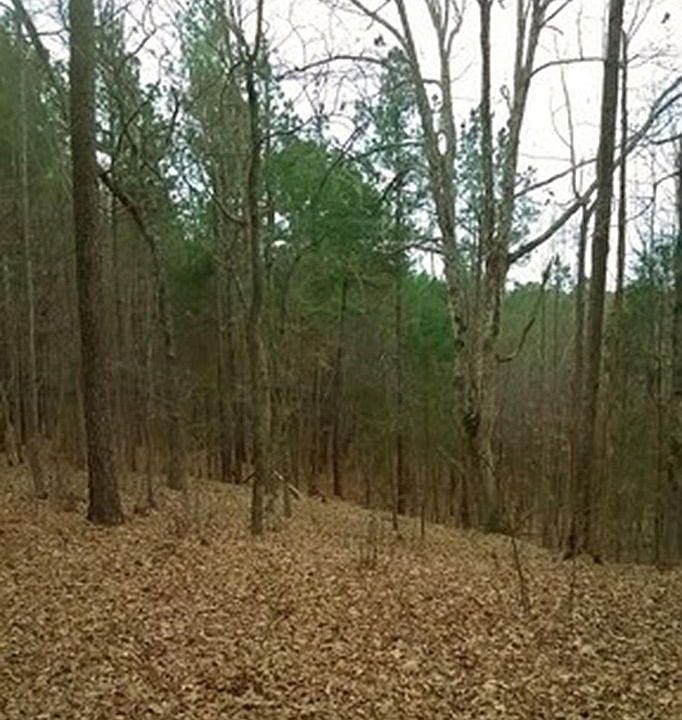 2nd image of 895 Pickett Lane
