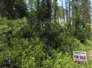 132 E Marion St, Palatka, FL 32177