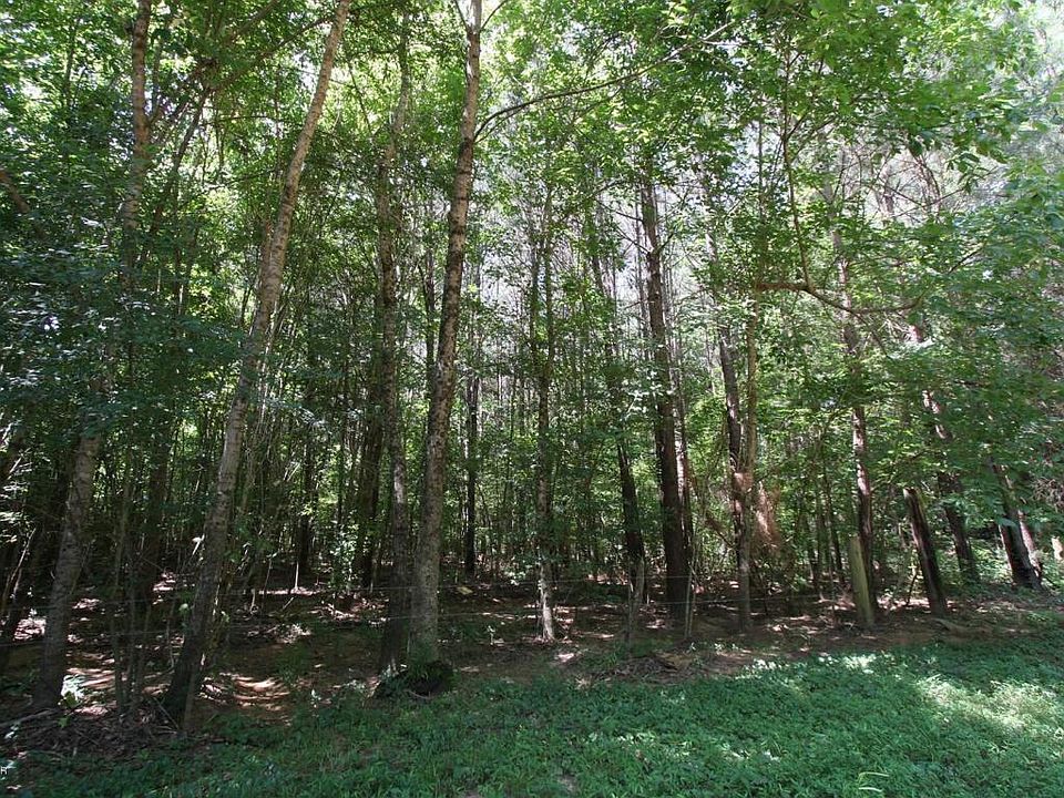 2nd image of 185 County Road 1501