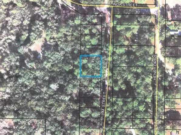 Lots 5 & 6 Lm St, Crawfordville, FL 32327
