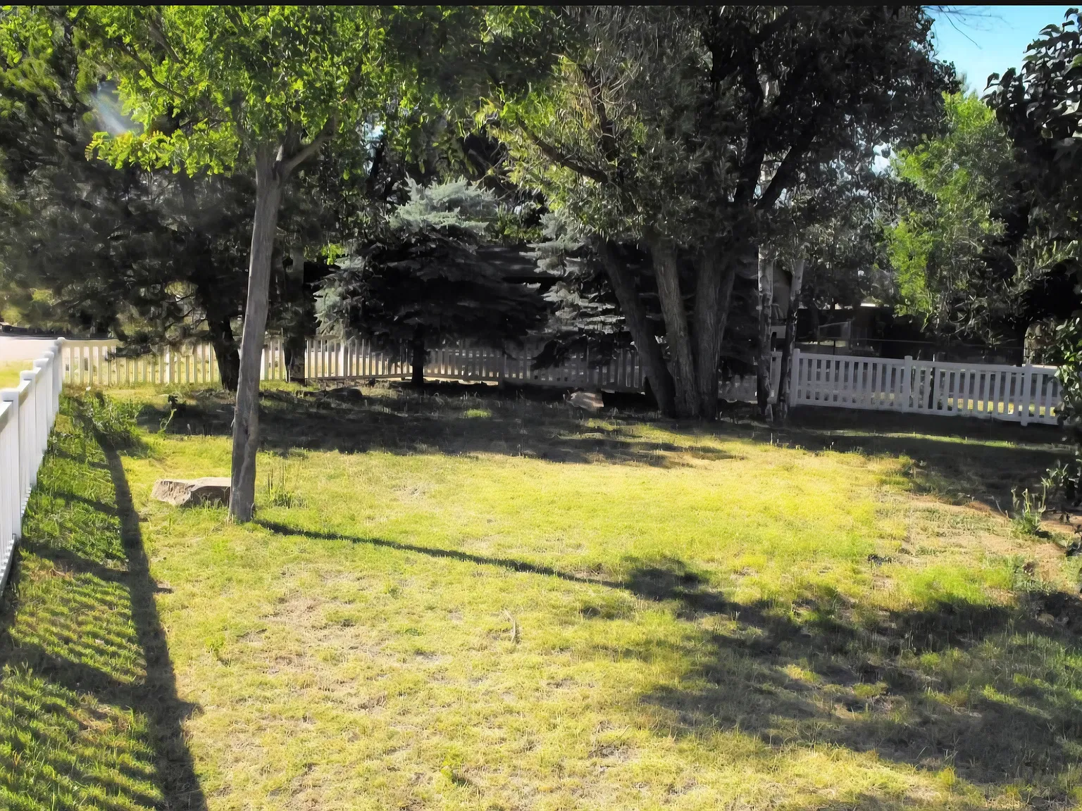 3 bed, 1120 sqft, $1,900 — Photo 3