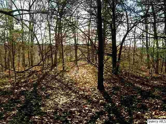 Home for Sale in Quincy, IL $95,000